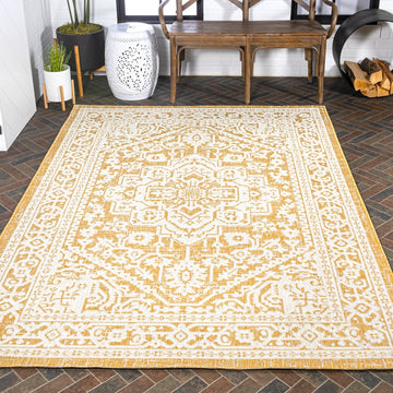 Sinjuri Medallion Textured Weave Indoor/outdoor Area Rug
